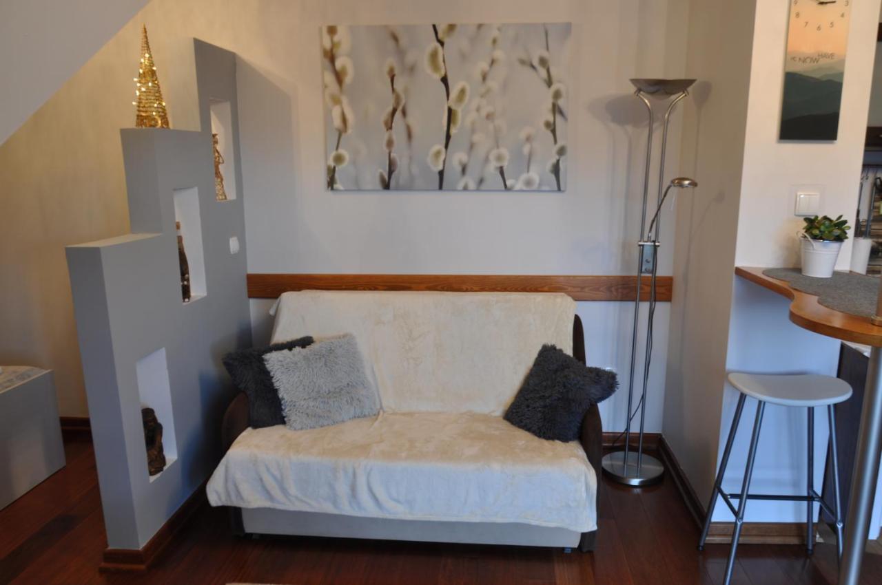 Apartamenty Carpe Diem Kościelisko Exterior foto